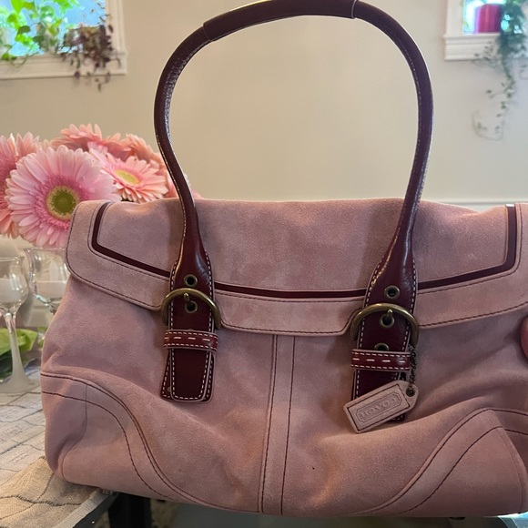 GORGEOUS LIMITED EDITION bag! Great condition - Picture 3 of 11
